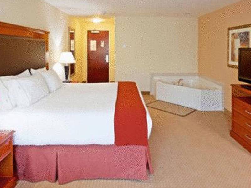 Holiday Inn Express Hotel & Suites Latham