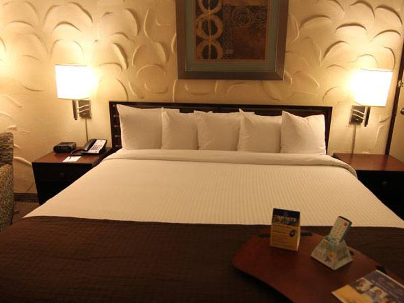 Best Western Albany Airport Inn