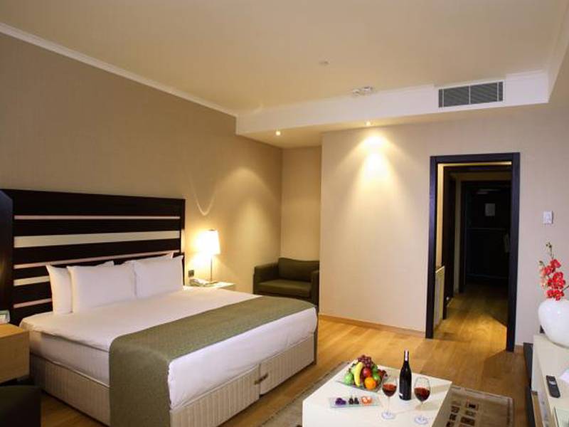 Holiday Inn Istanbul Airport Hotel