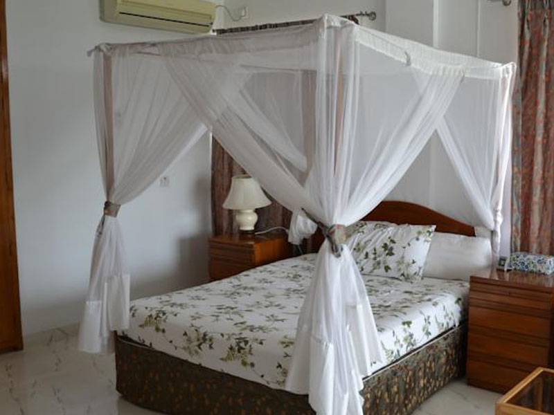 Green House Guesthouse