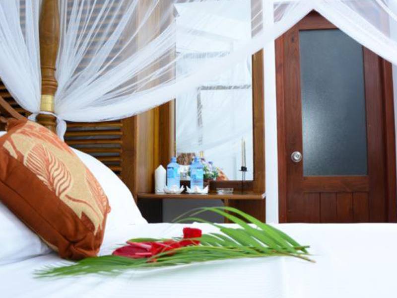 Vista Arken Lanka Galle View