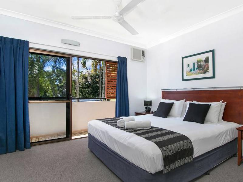 Cairns City Palms