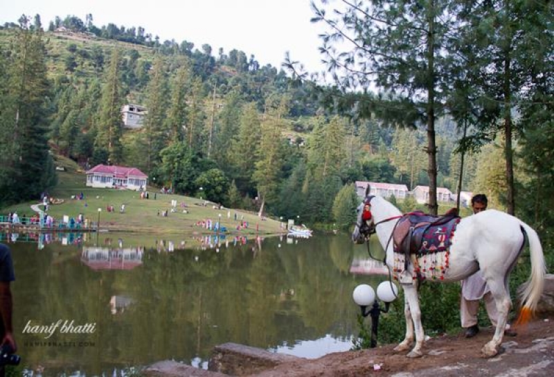 Dream Qasal Guest House
