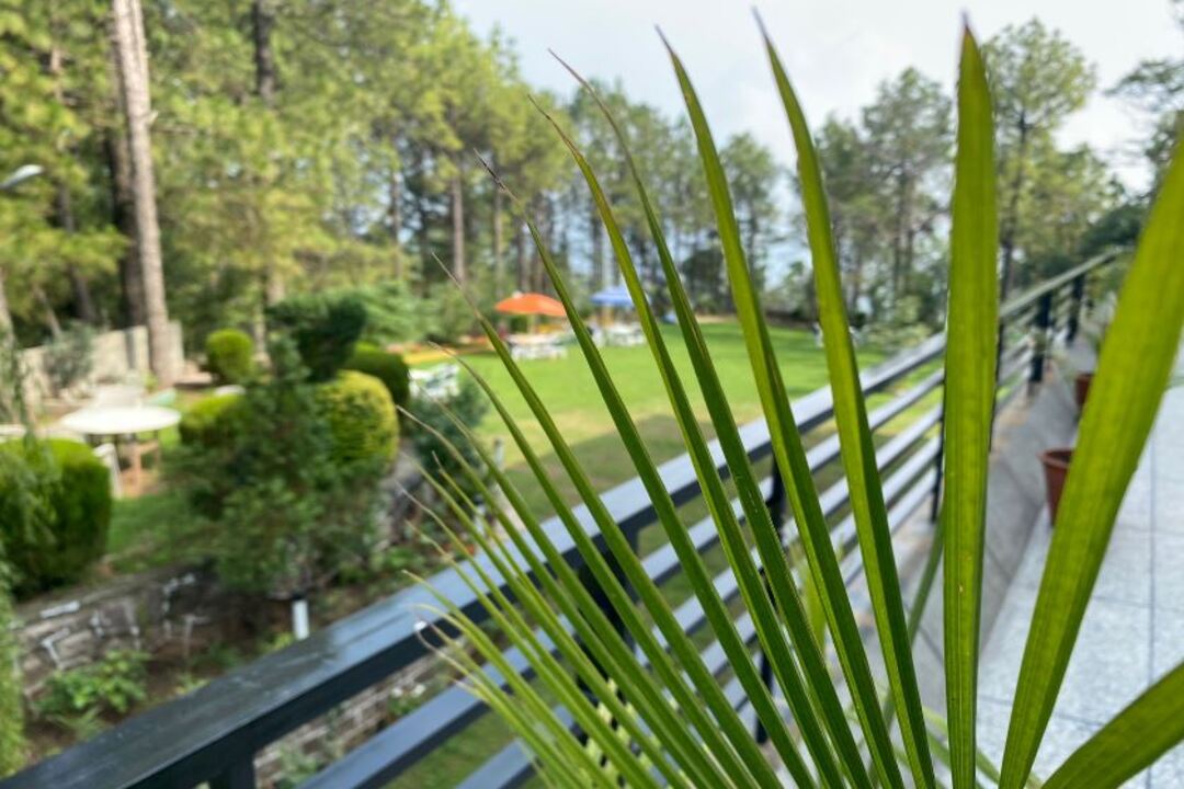 Insignia Resorts, Murree