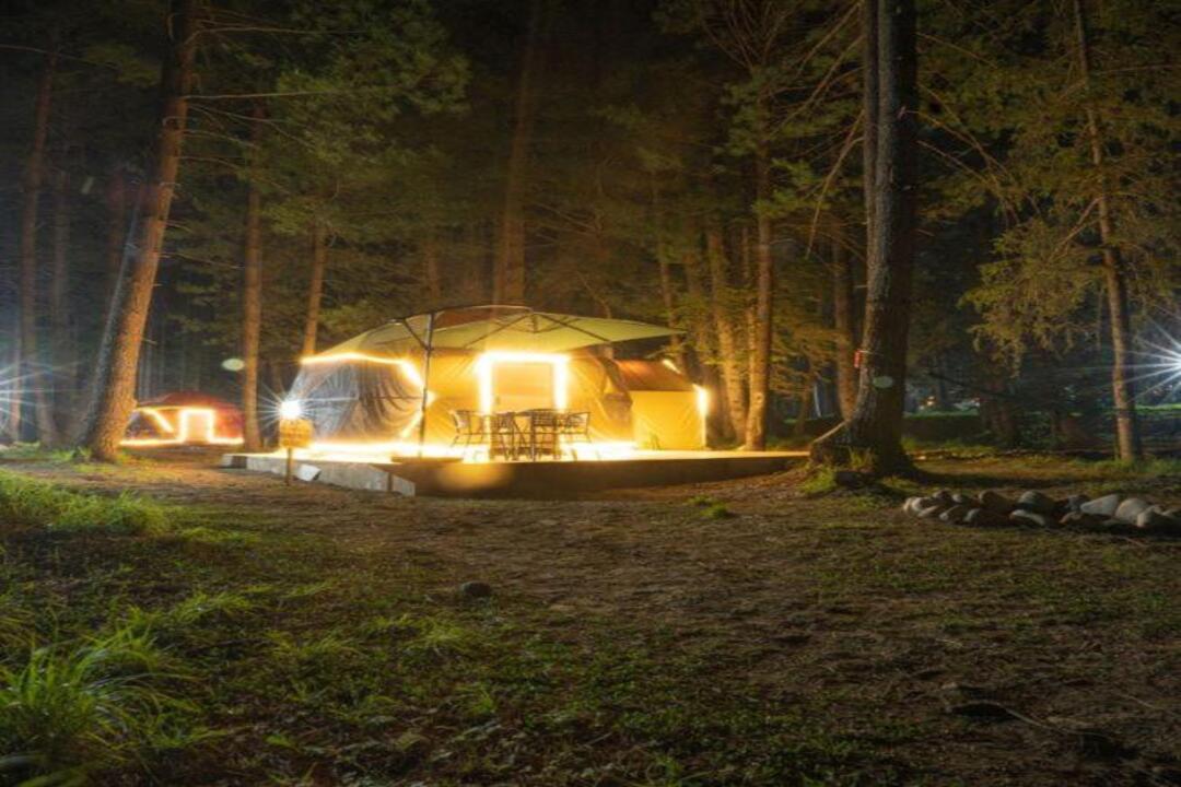 Jungle Suites