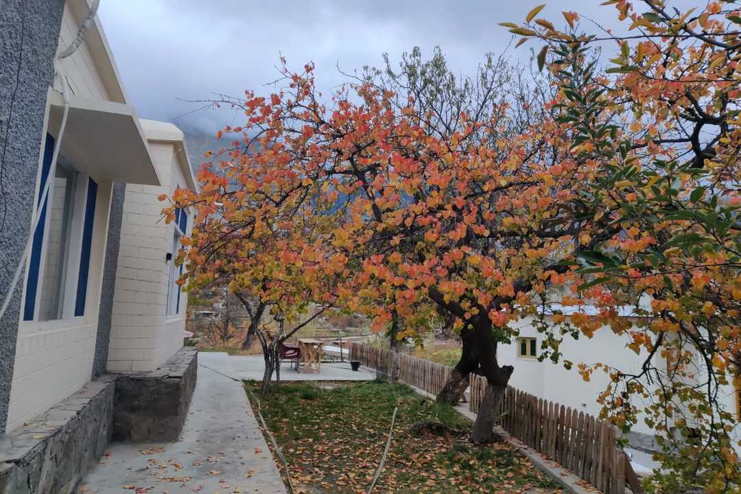 Sakura Lodges Hunza