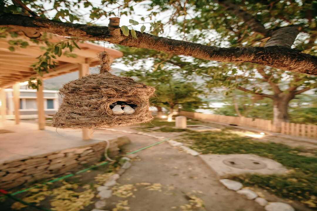 Sakura Lodges Hunza