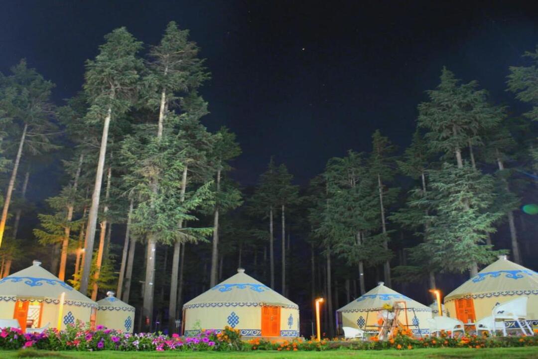 The Glamping Spot Kalam