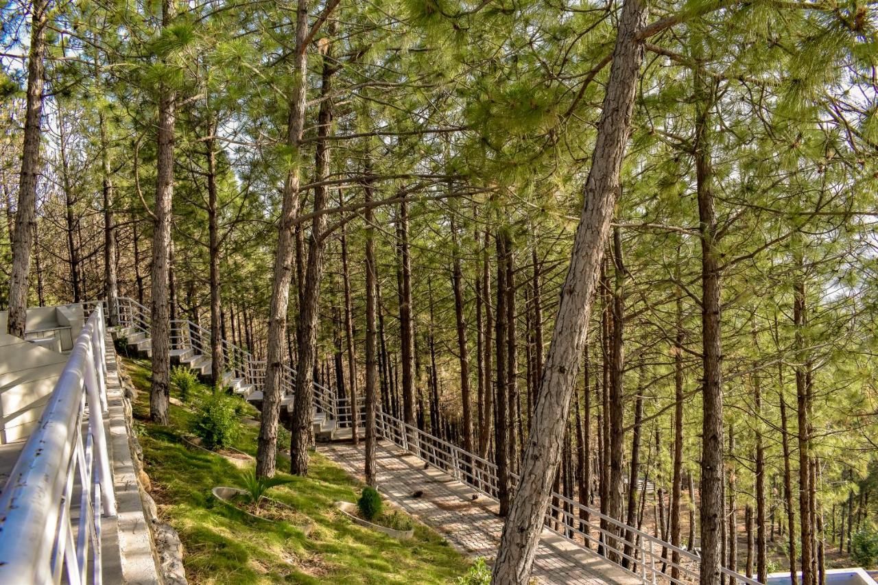 The Point by Roomy, Thandiani Abbottabad