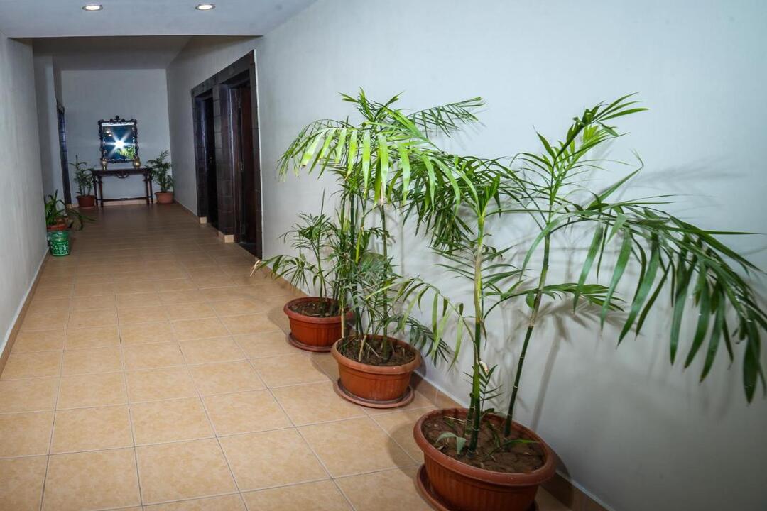 VIP House, Peshawar