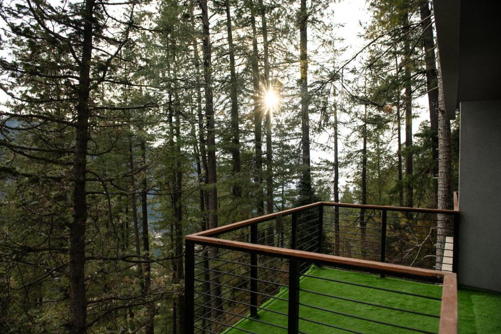 Zesora Nathia Gali