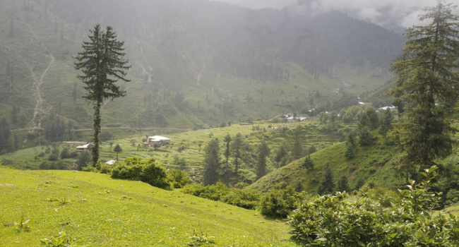 03 Days Honeymoon Trip to Swat, Kalam & Malam Jabba