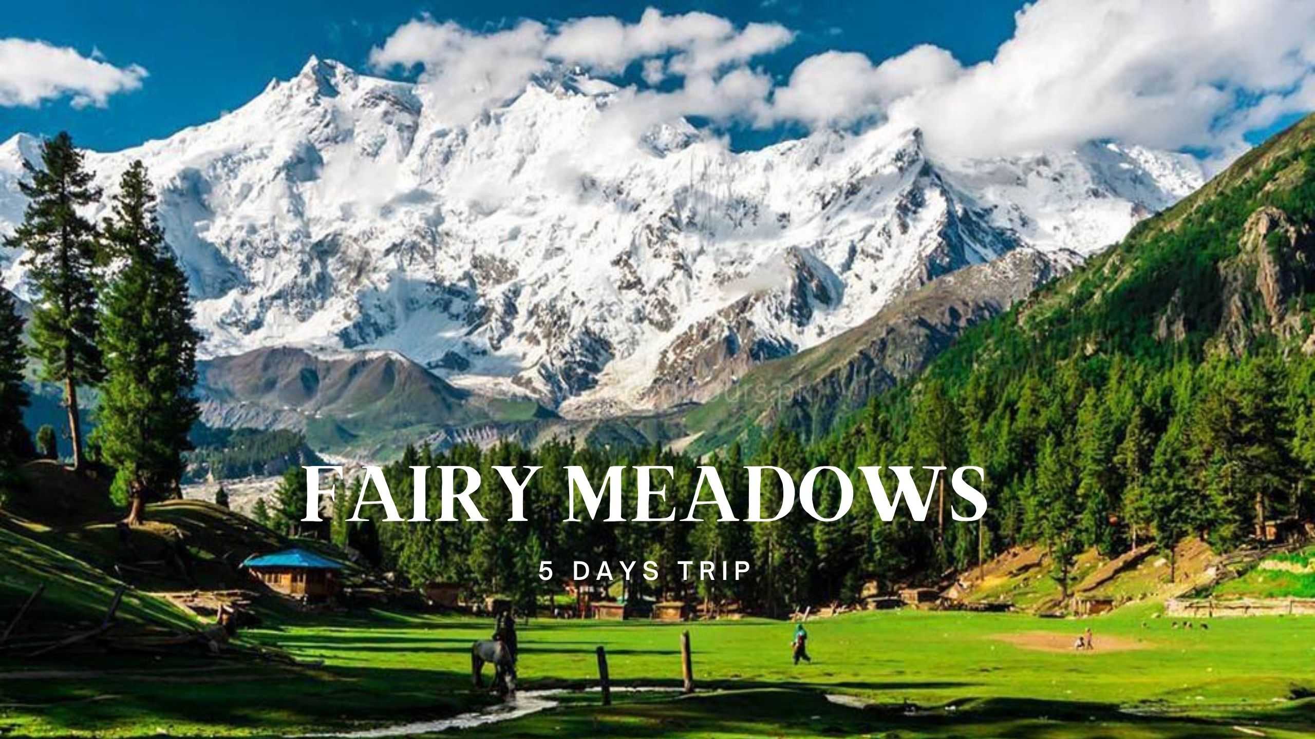 5 Days Trip to Fairy Meadows 