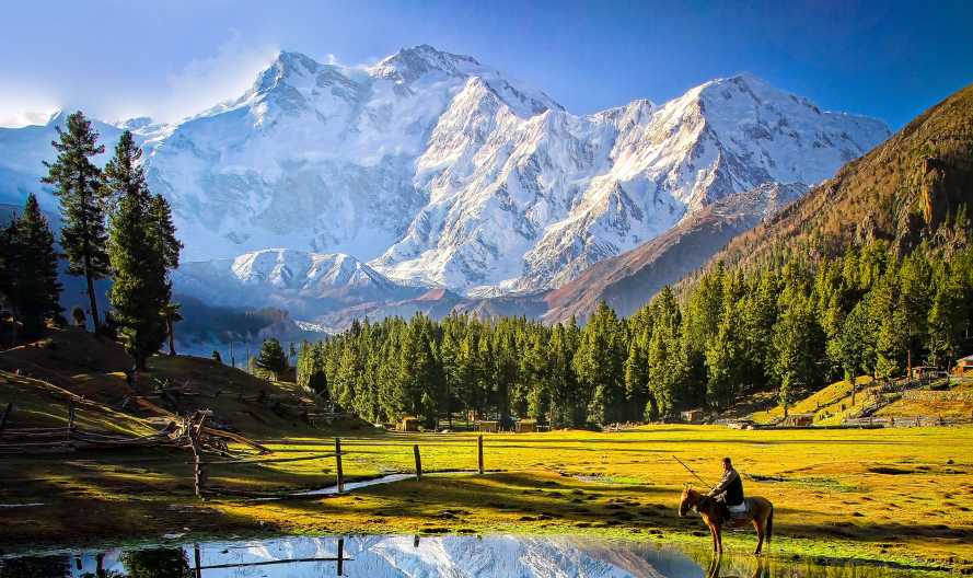 5 Days Trip to Fairy Meadows