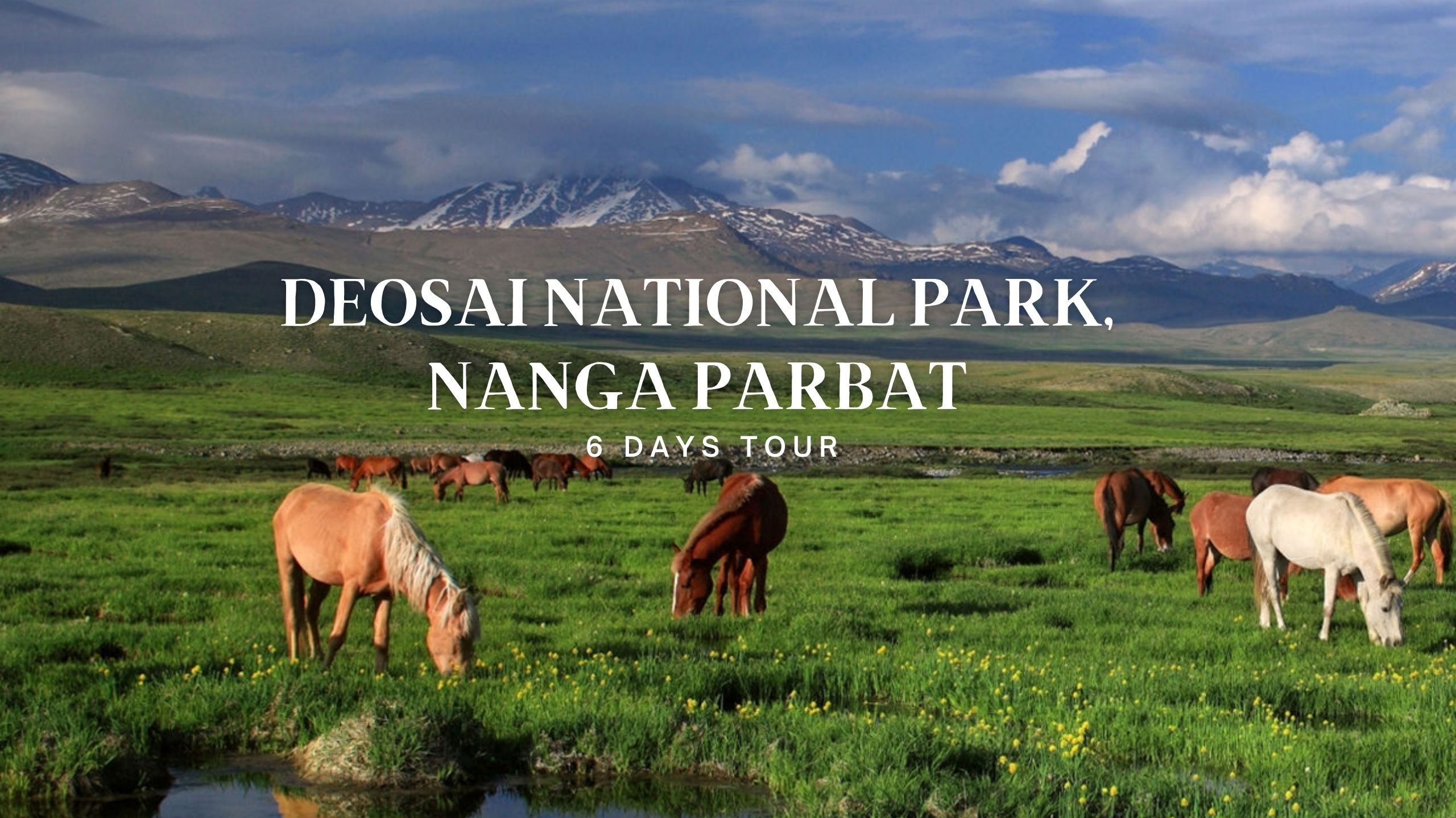 6 Days Trip to Deosai National Park,Nanga Parbat,Allah wali lake,Astore Valley & Rama Meadows