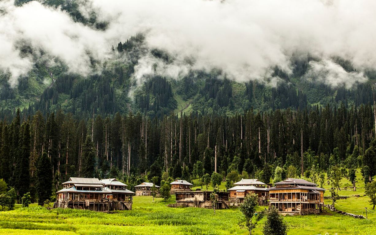 Arang Kel