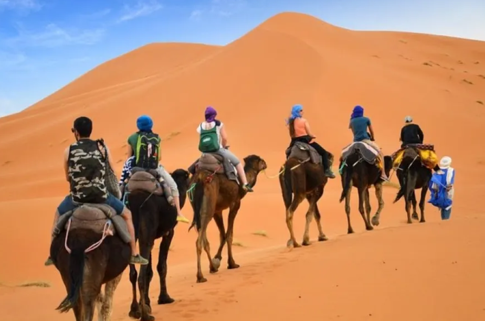 Camel Ride