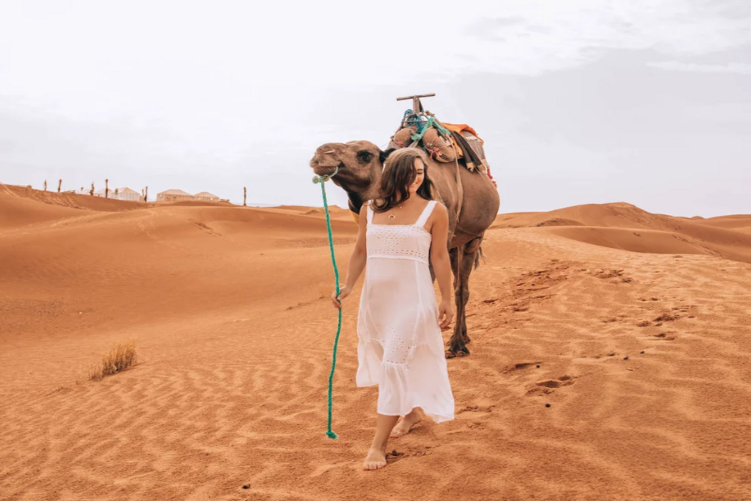 Camel ride