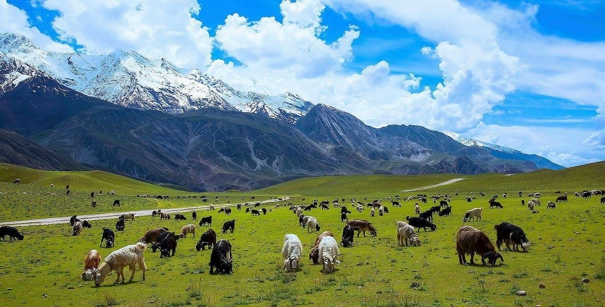 5 Days 4 Nights Chitral Tour Packages 