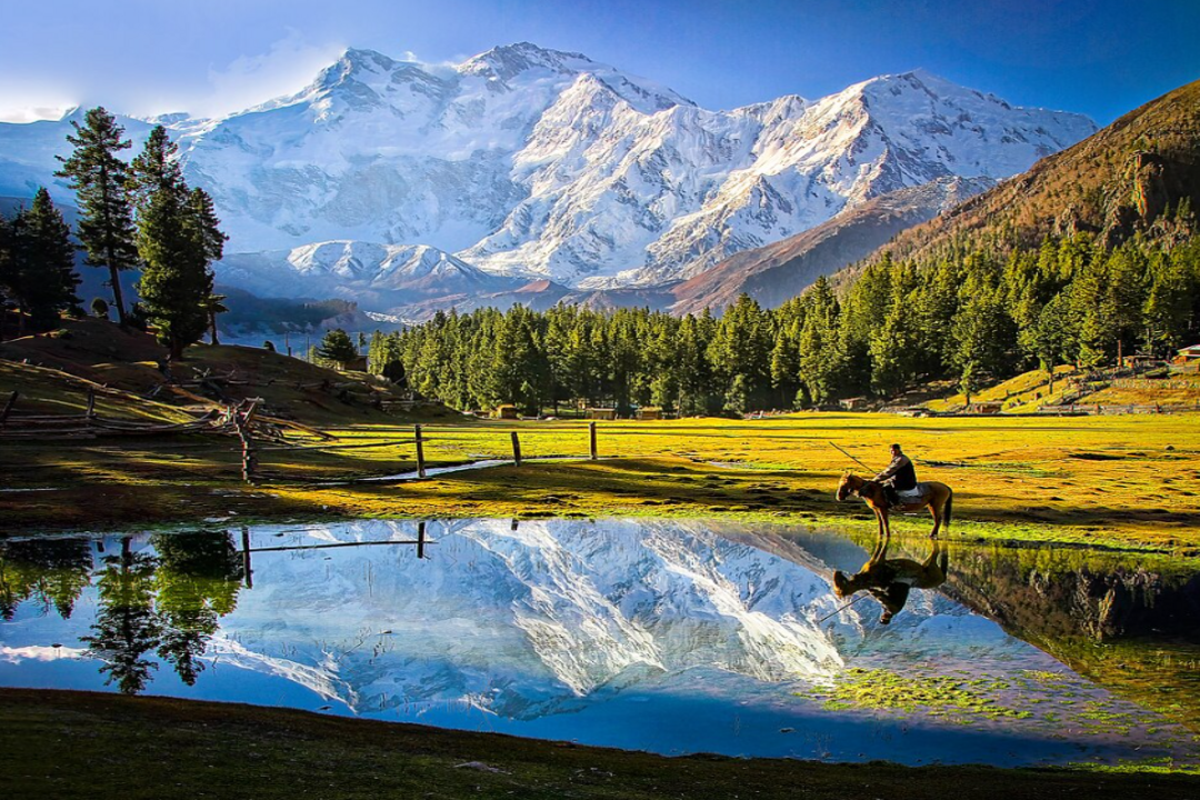 Fairy Meadows