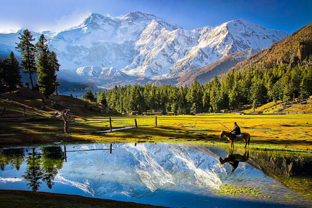 Fairy Meadows