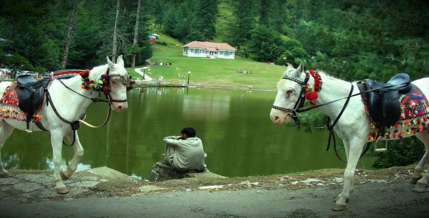 Kashmir Wildlife Tour Package