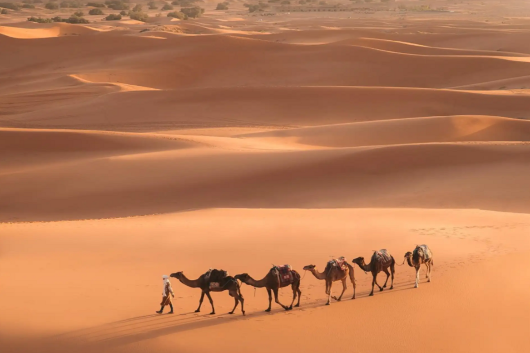 Merzouga Desert