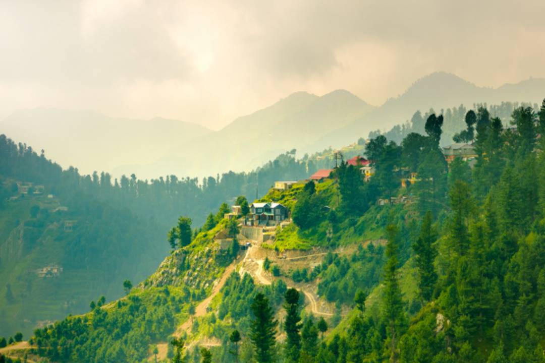Murree