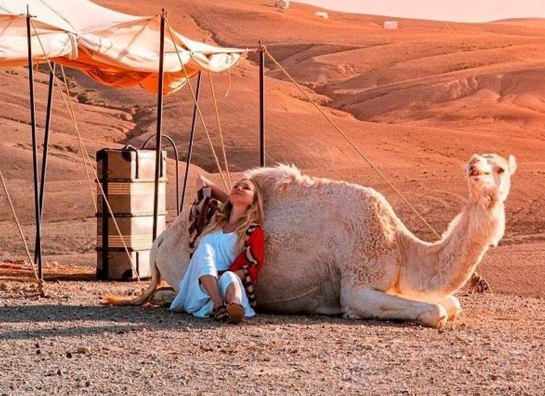 Optional camel/horse riding activities