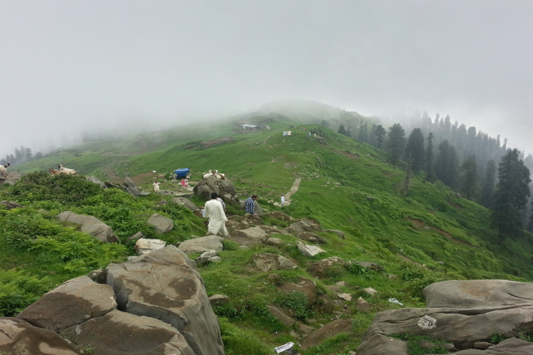 Toli Pir